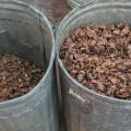 How much is a 5 gallon bucket of pecans worth?