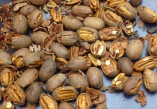 Is there a pecan shortage?