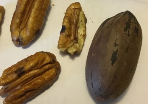 How do you know if pecans are bad?